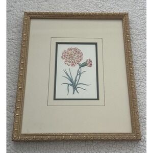 Miniature Carnation Flower 18th Century Italian Reprint Framed W. King Ambler